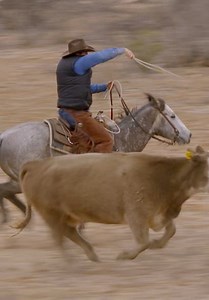 Ultimate Cowboy Showdown S04:E10 - The Ultimate All-Star