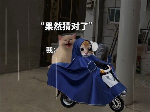 小时候坐在后座躲雨衣里，看着路面猜到哪了