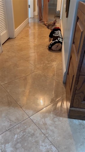 Chanel is not happy with her Halloween costume! | Deborah Kay Childress Shaffer | Facebook