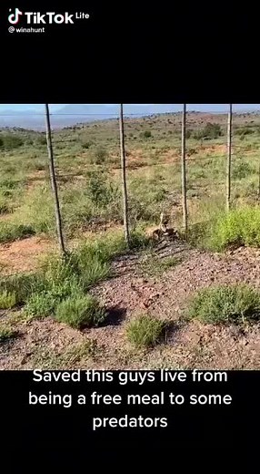 Amaphisi Abazingeli Hunters - Inyamazane Iqhina