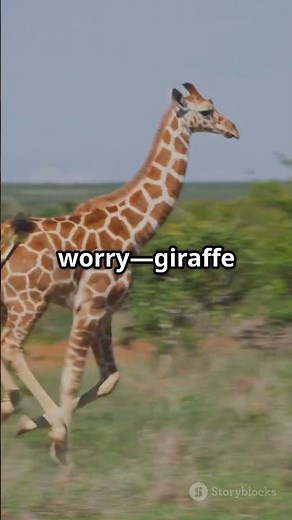 Giraffe Pregnancy_ Nature's Long Wait! #survival #wildliferescue #wildlifeentertainment