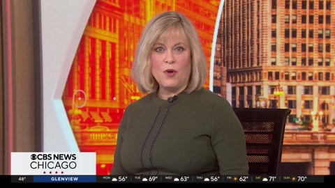 Cook County Treasurer Maria Pappas on new property tax study