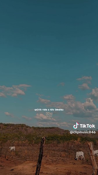 Os vídeos de clipmúsica1# (@clipmusic846) com som original - ddmusic