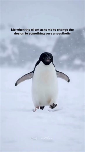 Interior Design meme | Viral Penguin video | MSSV