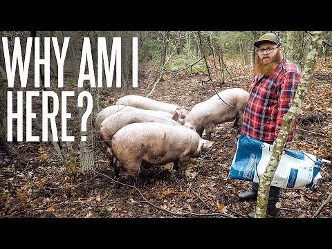 What’s The Point Of Homesteading In New Hampshire?