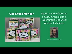 🔴How to Create Super Simple One Sheet Wonder Cards with the Expressions In Ink Designer Series paper