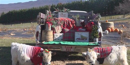 Agritourism’s impact on local pumpkin farm shifting into the holiday season