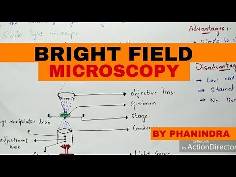 Bright Field Microscopy | Principle | Working | Advantages and disadvantages