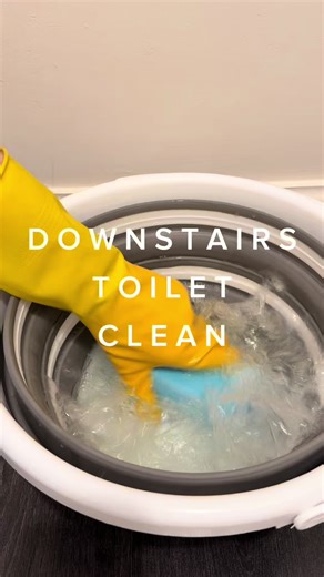 Deep Clean Downstairs Toilet: Bleach & Scrub
