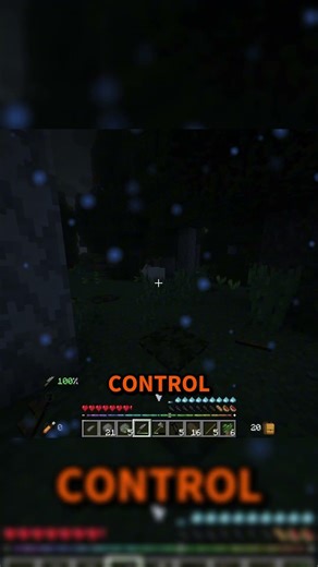 Possessed Goat Enters The Server