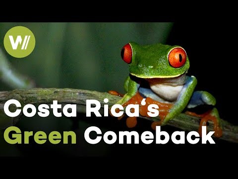Costa Rica's Operation Tropical Forest - The Rebirth of a Lost Paradise | Metamorphoses (2/5)