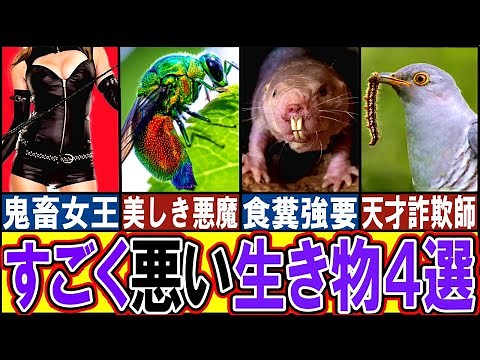 【閲覧注意】極悪すぎる生き物４選【ゆっくり解説】【動物おもしろ雑学】