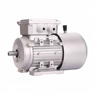 [Hot Item] Robust Industrial Gear Motor Three Phase Asynchronous Motor Brake Motor