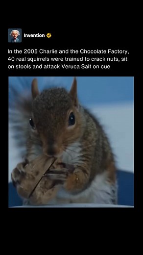Invention on Instagram: "In Tim Burton’s Charlie and the Chocolate Factory from 2005, the nut room scene with Veruca Salt was brought to life in a very unusual way. Instead of relying on computer generated imagery, the production decided to use live trained squirrels. Forty of them were raised and trained specifically for the film, each taught to crack open nuts, place the shells into bins, and respond to precise cues from their trainers. This choice gave the scene a surreal but tangible edge th