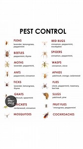 4.6M views · 10K reactions | Pest control - Part 2 | Little DIY | Facebook