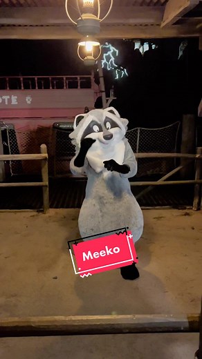 Explore Meeko at Disneyland Paris!