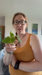 19 reactions · 14 comments | Nettle stings!! This plant is amazing not just as a food source but as a medicine too! Scientists don’t seem to think that stinging yourself makes a significant difference toward join pain but I really do! #nettle #nettles #nettlestings #backpain #arthritis #painreliever #painmanagement | Foraging ForAges | Facebook