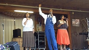 4.6K views · 1.9K reactions | Primitive Quartet on Reels | Facebook