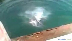 Guy Splits His Face Open Diving Video