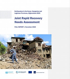 Joint Rapid Recovery Needs Assessment Report