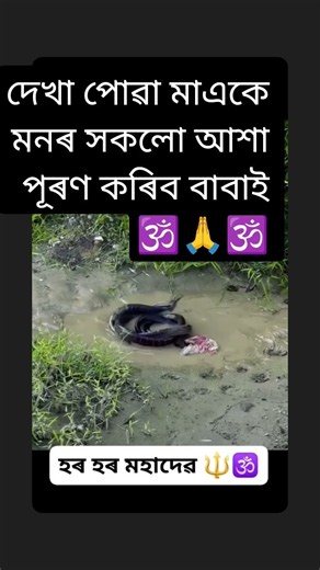 দেখা পোৱা মাএকে মনৰ সকলো আশা পূৰণ কৰিব বাবাই হৰ হৰ মহাদেৱ 🙏🕉️🙏