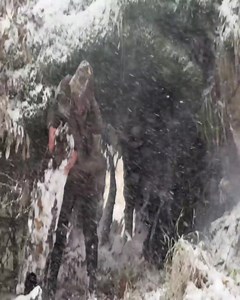 106K views · 2.4K reactions | Battling the Elements: Building a Survival Shelter Under a Tree in a -21°C Blizzard. | Perfection Cabin | Facebook