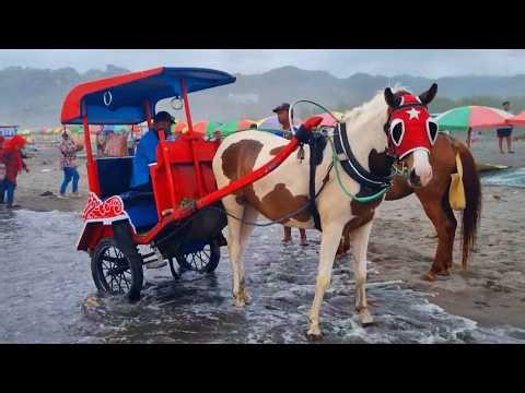 NAIK DELMAN DI PANTAI PARANGTRITIS ~ NAIK KUDA ~ KUDA DELMAN ~ NAIK DELMAN ISTIMEWA KU DUDUK DIMUKA