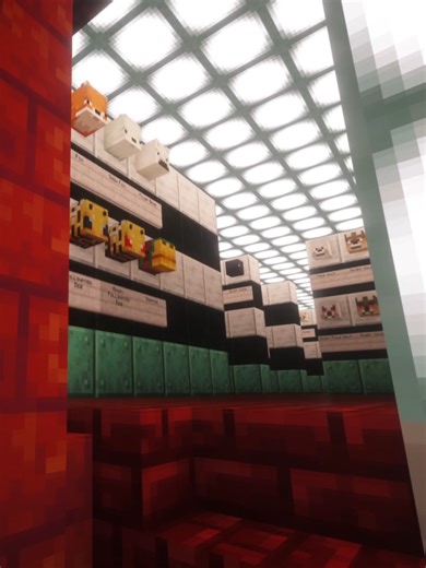 Exploring Emily's Minecraft Head Museum Collection