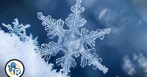 Reactions:How Do Snowflakes Form? Season 3 Episode 01