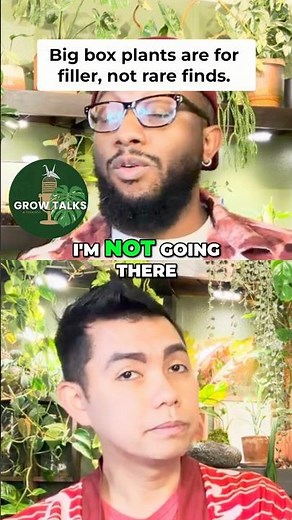 Where Should You Buy Plants? Big Box vs. Local Shops