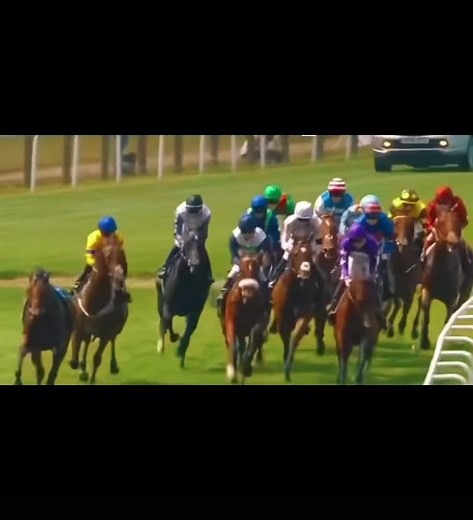 #singingtexttospeech #horses are my life####