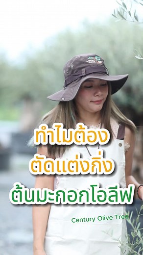 Olive Planting Tips and Pruning Guide