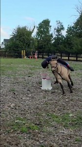 Rosi yesterday practising for pony club games tomorrow #mountedgames #ponyclub