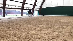 4.6K views · 372 reactions | Ed ecco a voi i primi passi della piccola Dory (Dorotea di Fonteabeti) all’inizio dei suoi 4 anni! La strada è lunga,ma le premesse sono ottime | Valentina Truppa and Friends | Facebook