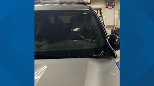 Man dead after shooting at Mt. Pleasant police and crashing vehicle