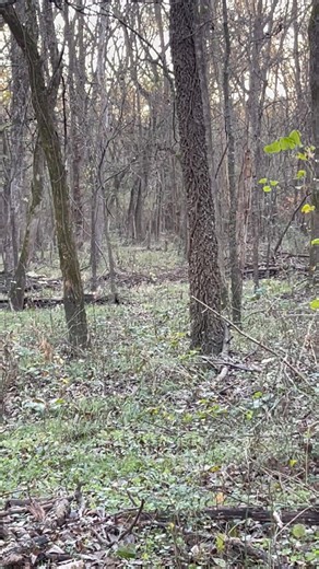 Following the drag line | Andy Rhodes