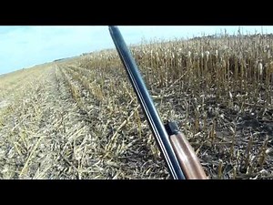 South Dakota Pheasant Hunting\\Garden Hills