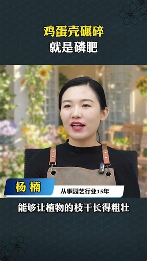 Eggshell Phosphorus: DIY Flower Fertilizer Secret