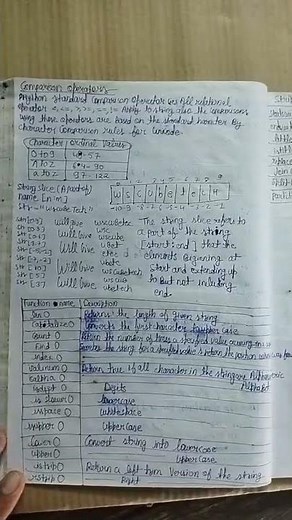CHAPTER 10 STRING MANIPULATION CLASS 11 COMPUTER SCIENCE NOTES PDF CUET EXAM cbse sumita arora