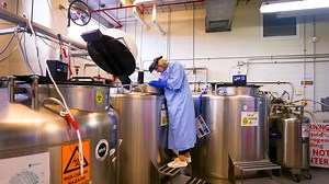 What happened to the first cryogenically frozen humans?