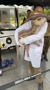 29K views · 176 reactions | Parasaurolophus was a duck-billed...