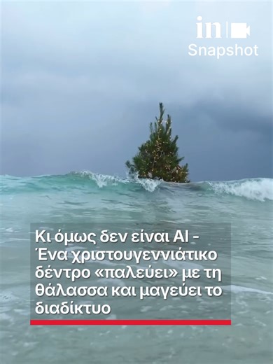 Κι όμως δεν είναι ΑΙ - Ένα χριστουγεννιάτικο δέντρο «παλεύει» με τη θάλασσα και μαγεύει το διαδίκτυο #ingr #insnapshot #viral #δεντρο #fyp