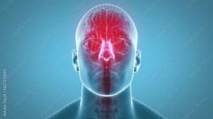 Seamless loop 3d animation of human head with red glowing brain.