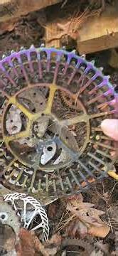 Pawing thru the Old Timer's Junk #shorts #junk #rust #upcycling