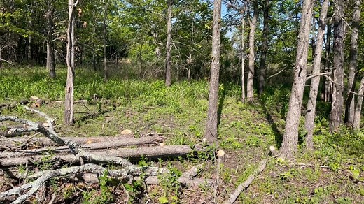 Habitat Hints: MDC's Corey Gregg tells us about the importance of edge feathering and why it is great for wildlife. Learn more in the video below. | Missouri Dept. of Conservation