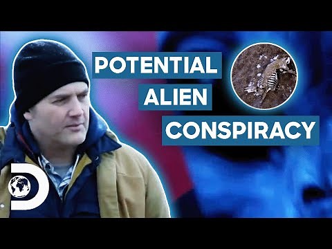 Unraveling Mysterious Cattle Mutilations: Unveiling An Alien Conspiracy? | UFO Witness