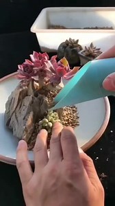 5.4K views · 147 reactions | Simple, bello, elegante ! | M design | Facebook