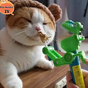 316K views · 10K reactions | It makes me angry | Funny Animals' Life | Facebook