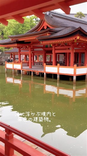 広島旅行⑨厳島神社 境内 50代からの楽しみ方#50代 #旅行 #広島 #厳島神社#朝さんぽ #絶景
