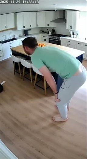 Robot Vacuum Steals Sock and Goes Rogue!